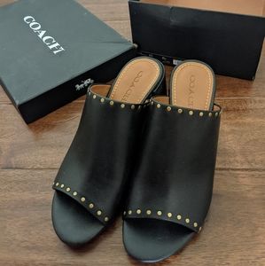 Coach black studded mules